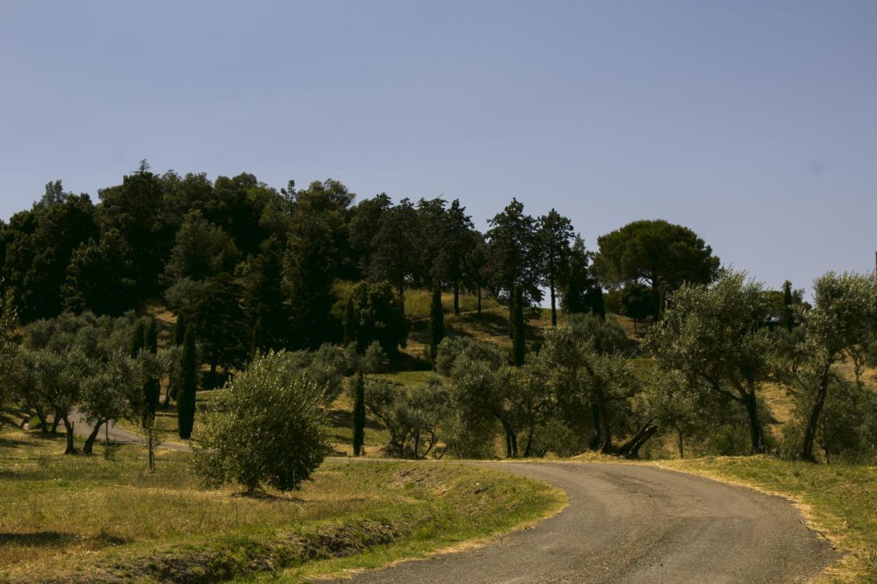 Agriturismo Aia Leccioni Micciano Exteriör bild