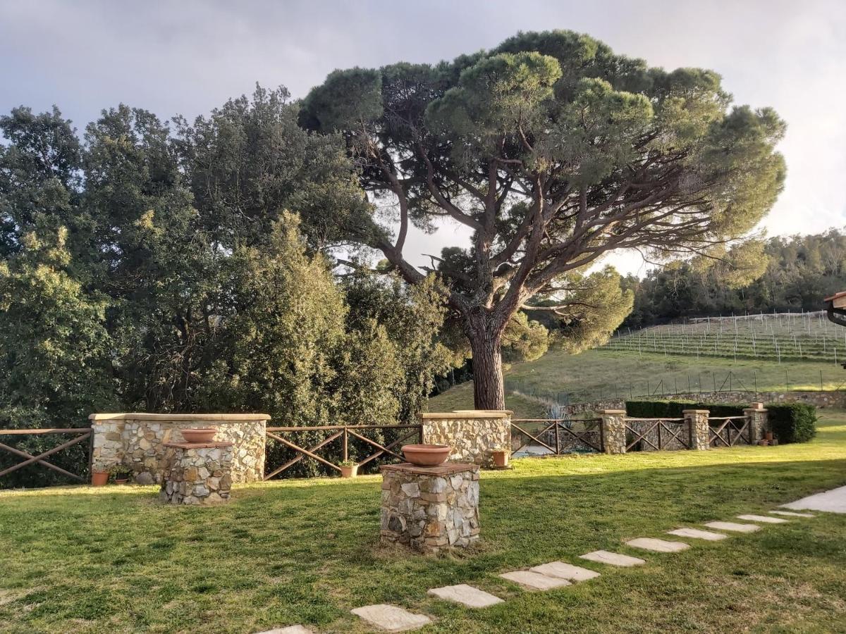 Agriturismo Aia Leccioni Micciano Exteriör bild